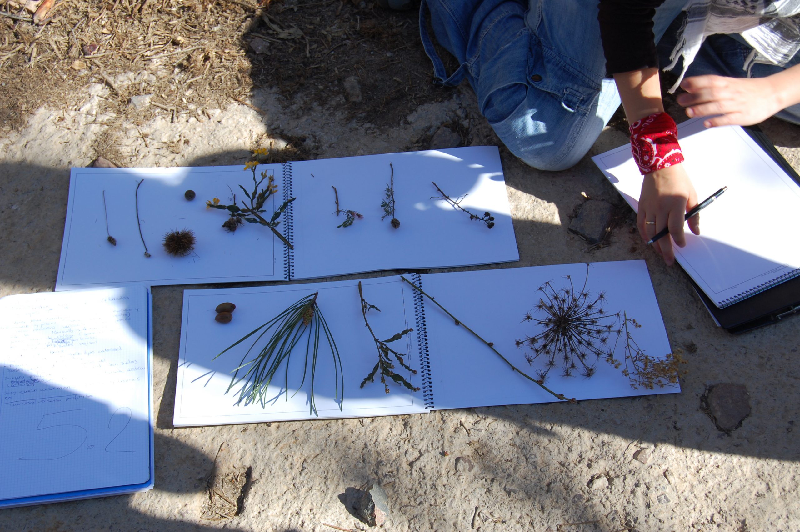 Ética y Profesionales Cristianos