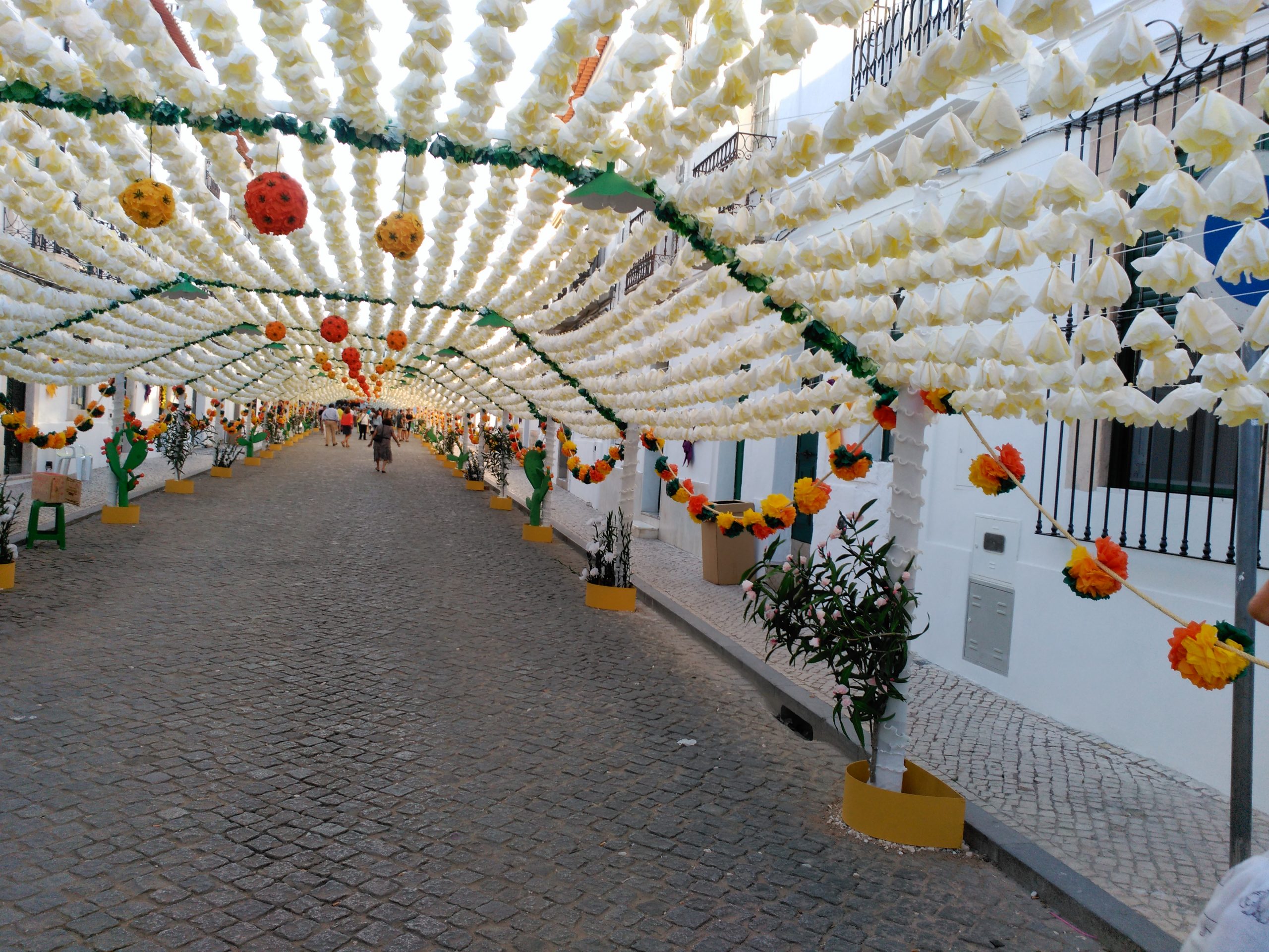 Apertura a lo colectivo en un mundo en cambio