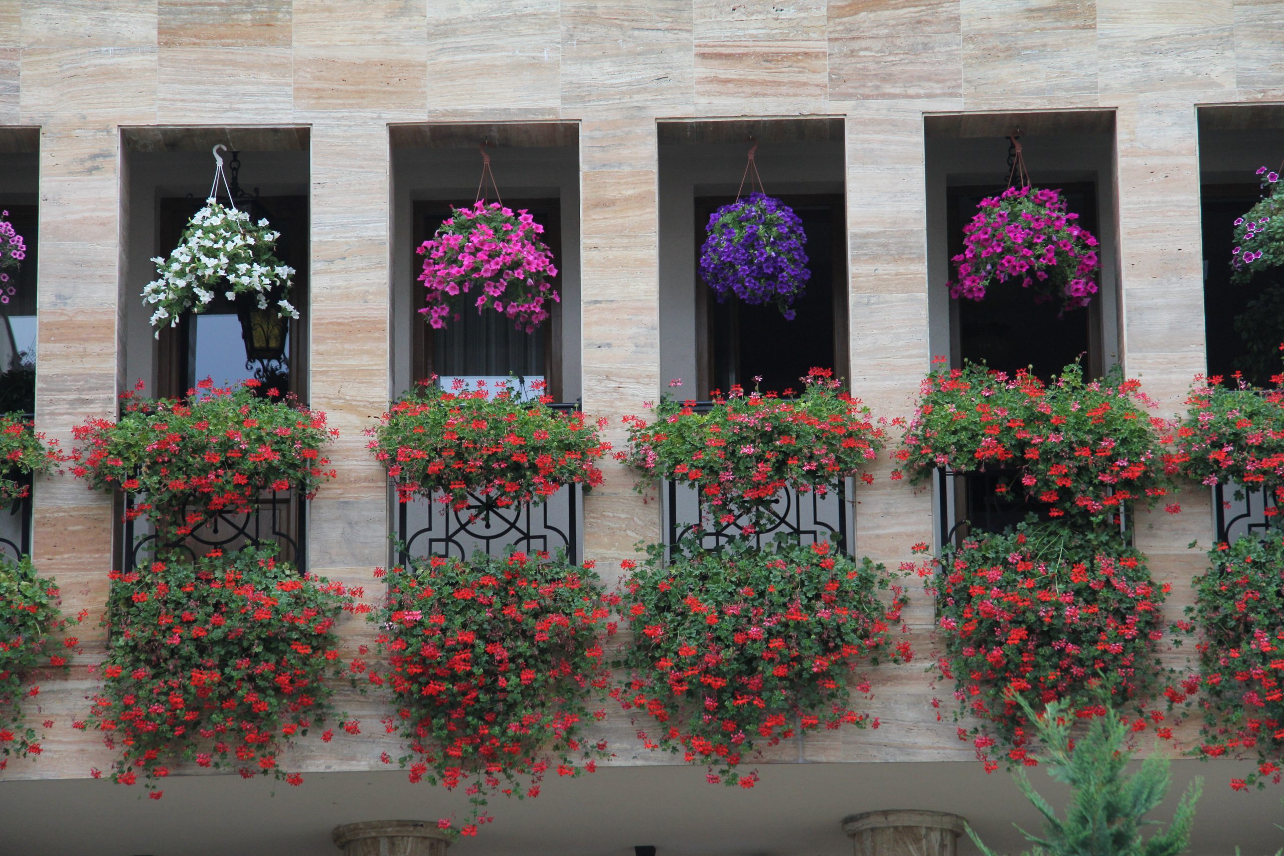 La contemplación de la vida desde la Palabra de Dios