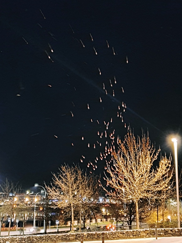 Fuegos artificiales en el cielo por la noche Descripción generada automáticamente con confianza media