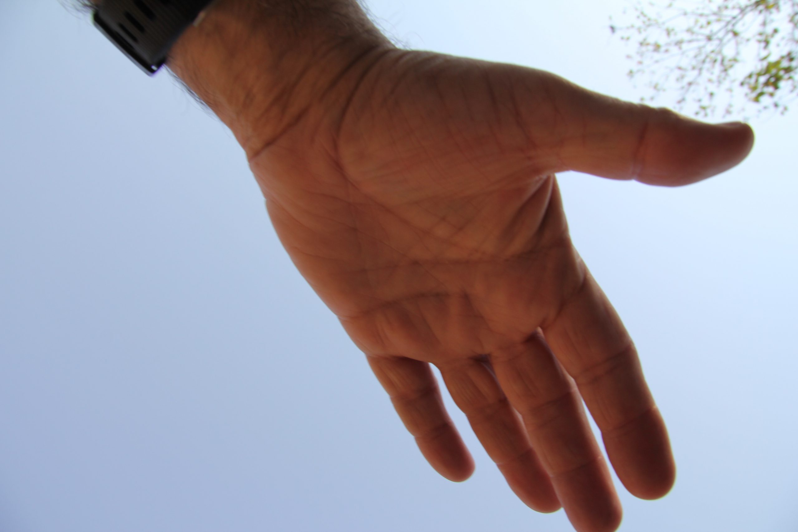 Extendió su mano, tocó y curó. Oración de Mayo