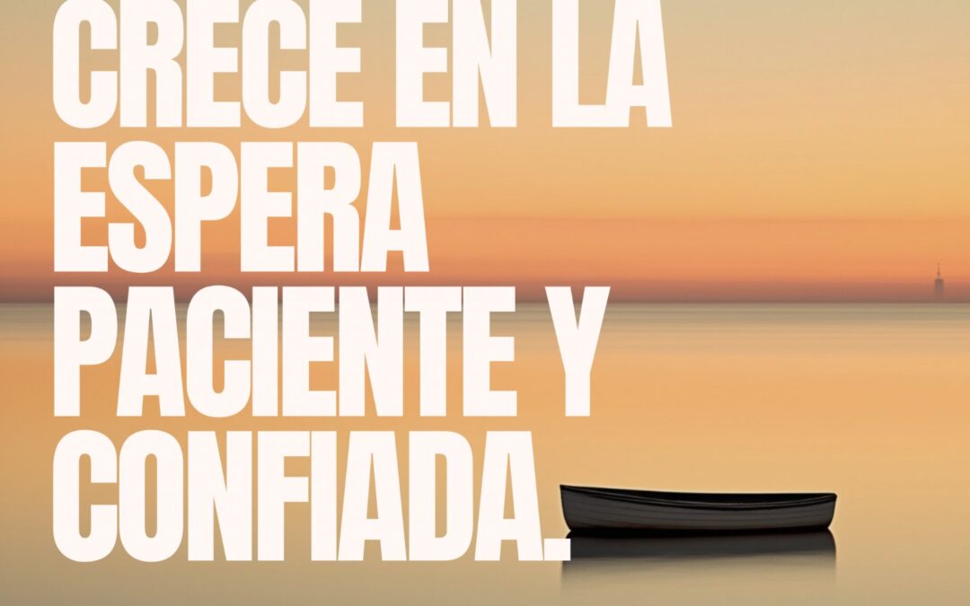 Testigos de la Esperanza: Sabado