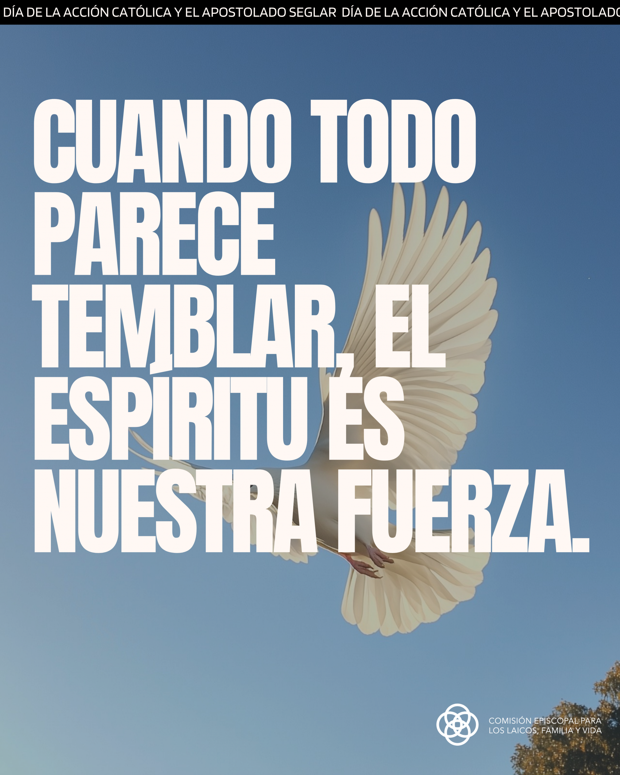 Testigos de la Esperanza: Viernes