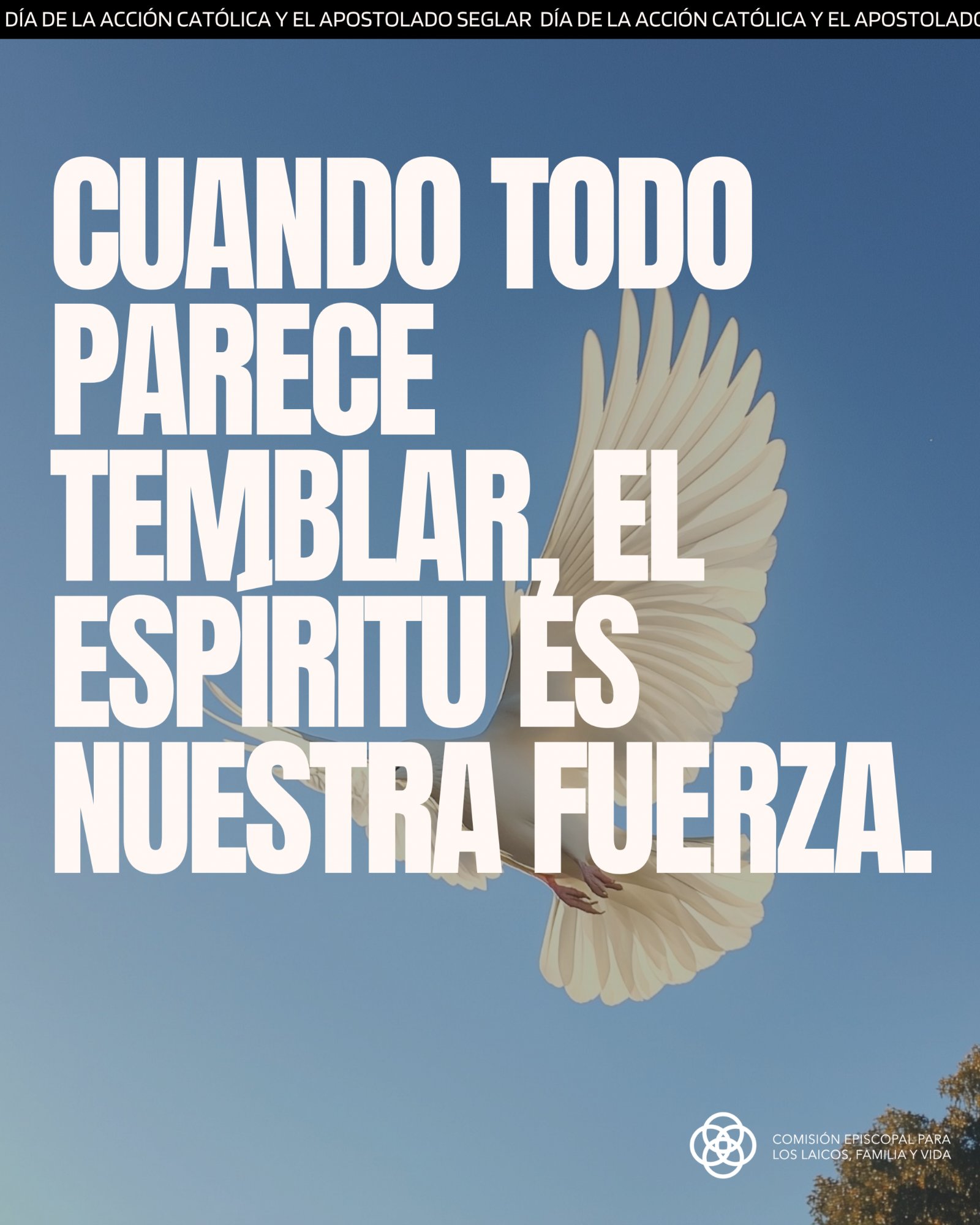 Testigos de Esperanza: lunes